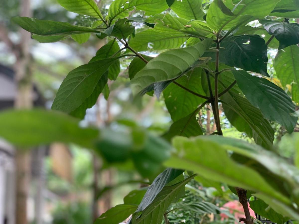 Greenspace Resort Phuquoc Phú Quốc Eksteriør billede