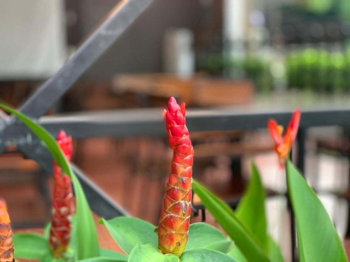 Greenspace Resort Phuquoc Phú Quốc Eksteriør billede