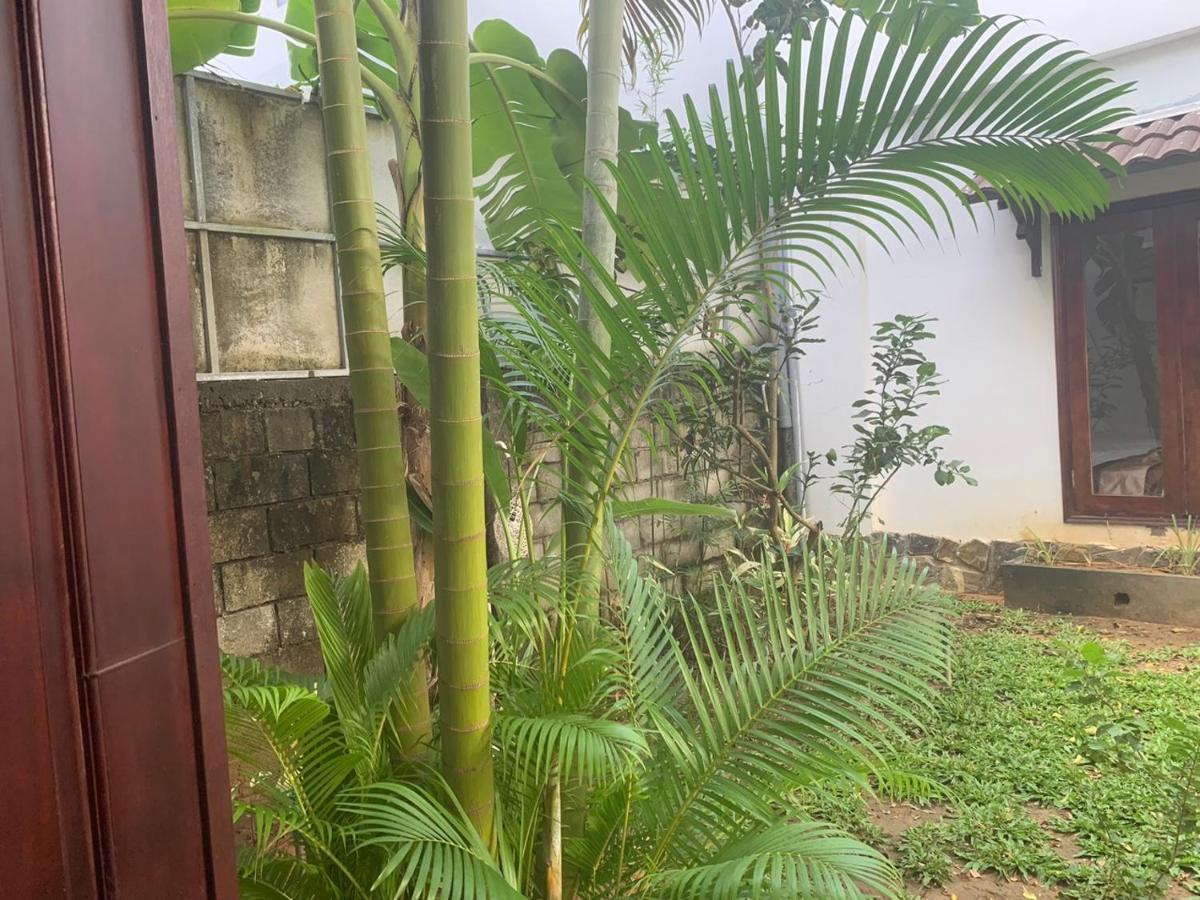 Greenspace Resort Phuquoc Phú Quốc Eksteriør billede